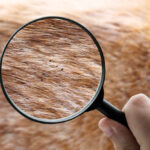5 Strange Facts About Parasites